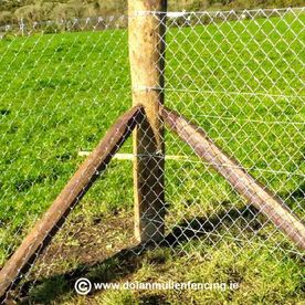 Dolan fencing